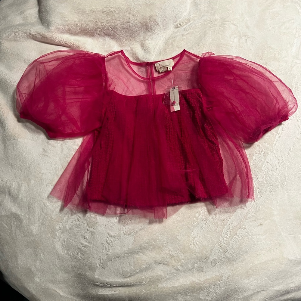 Anthropologie Sheer Puff Sleeve Crop Top